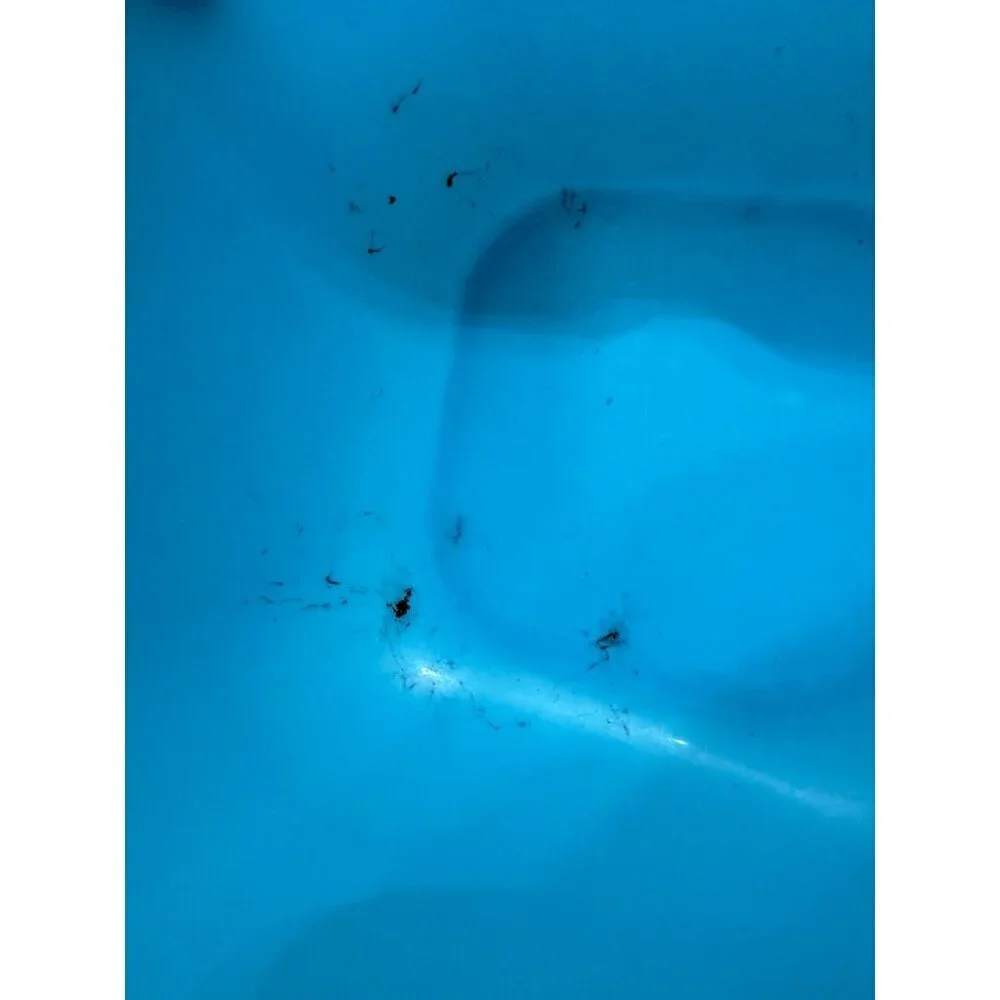 Blue Plastic Mixing Bowl with Pour Spouts